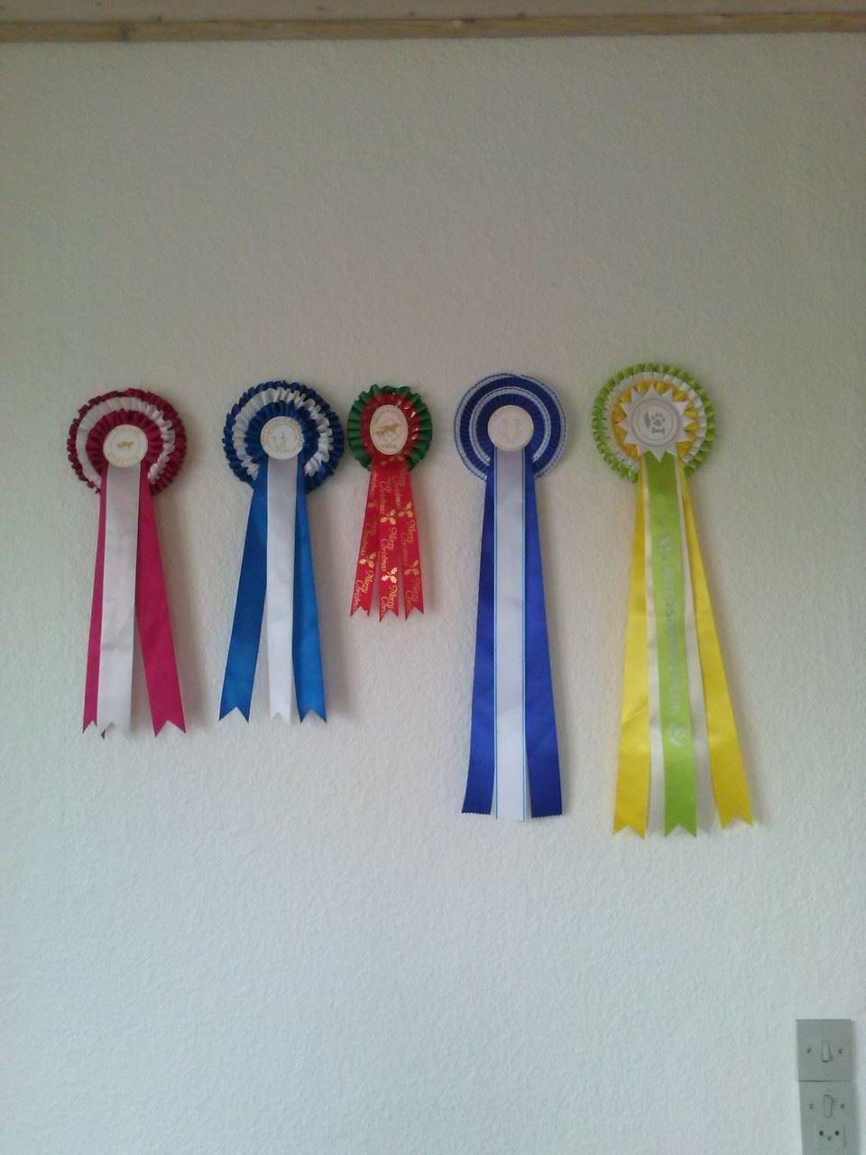 Kvinde Michelle  billede 20