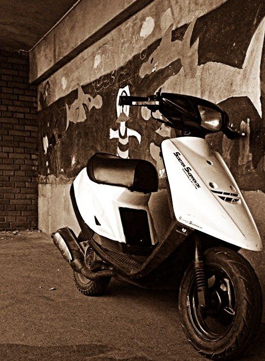 Mand Søren Skovbo - Missen :* billede 1