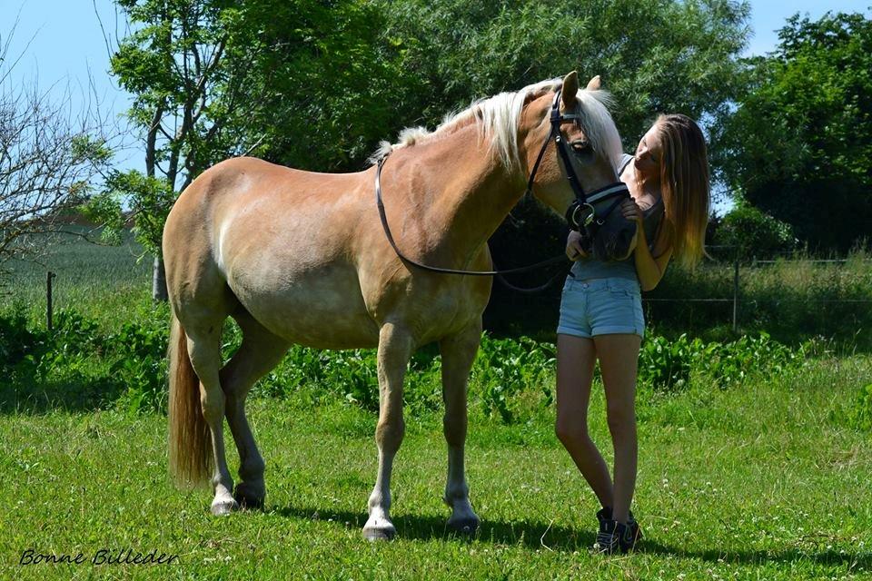 Kvinde Lise Nielsen billede 8