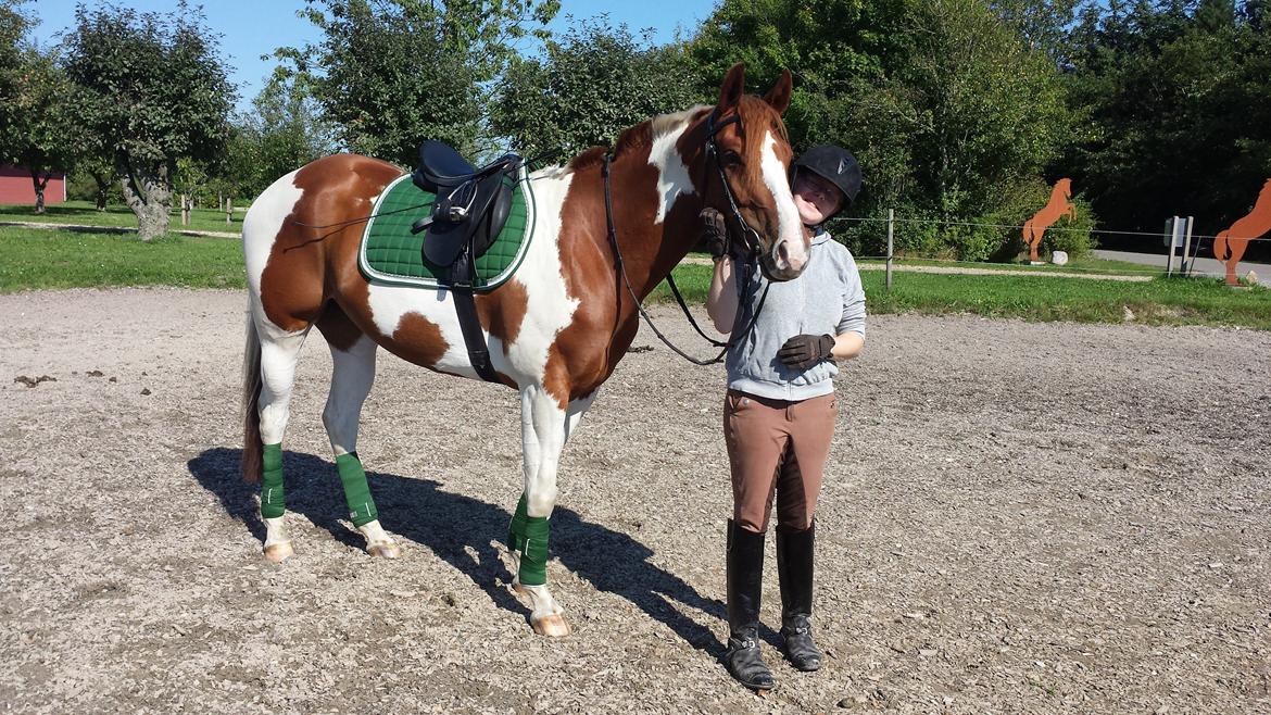 Kvinde Yankee aka Katja - Klar til træning. September 2013 billede 22