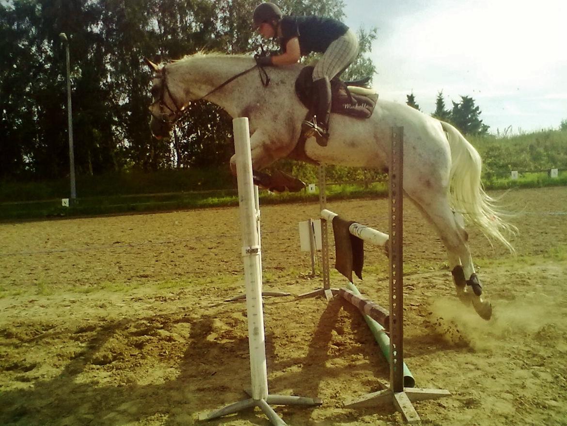 Kvinde Michelle Pia billede 4