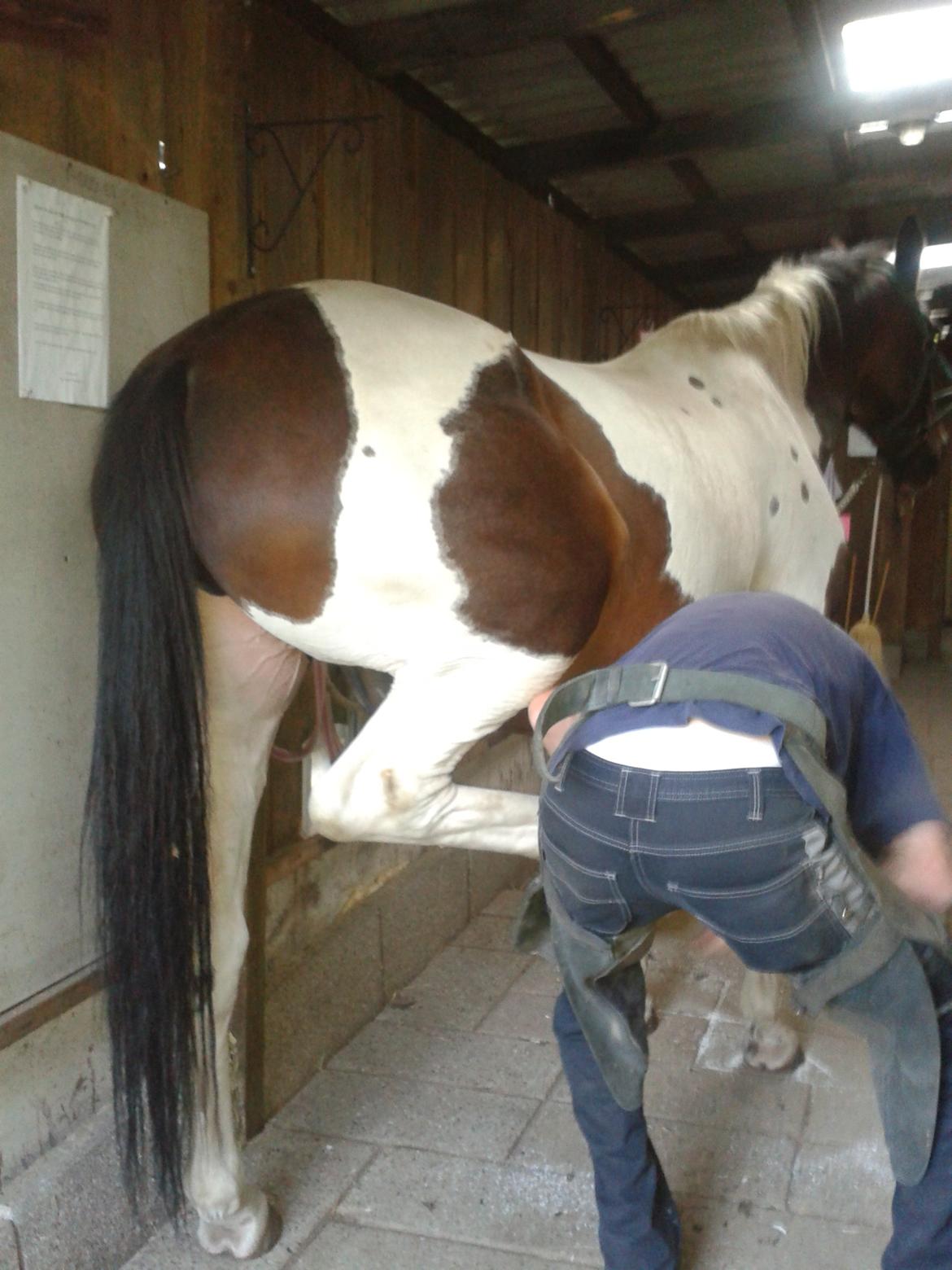 Mand BeslagSmeden billede 7