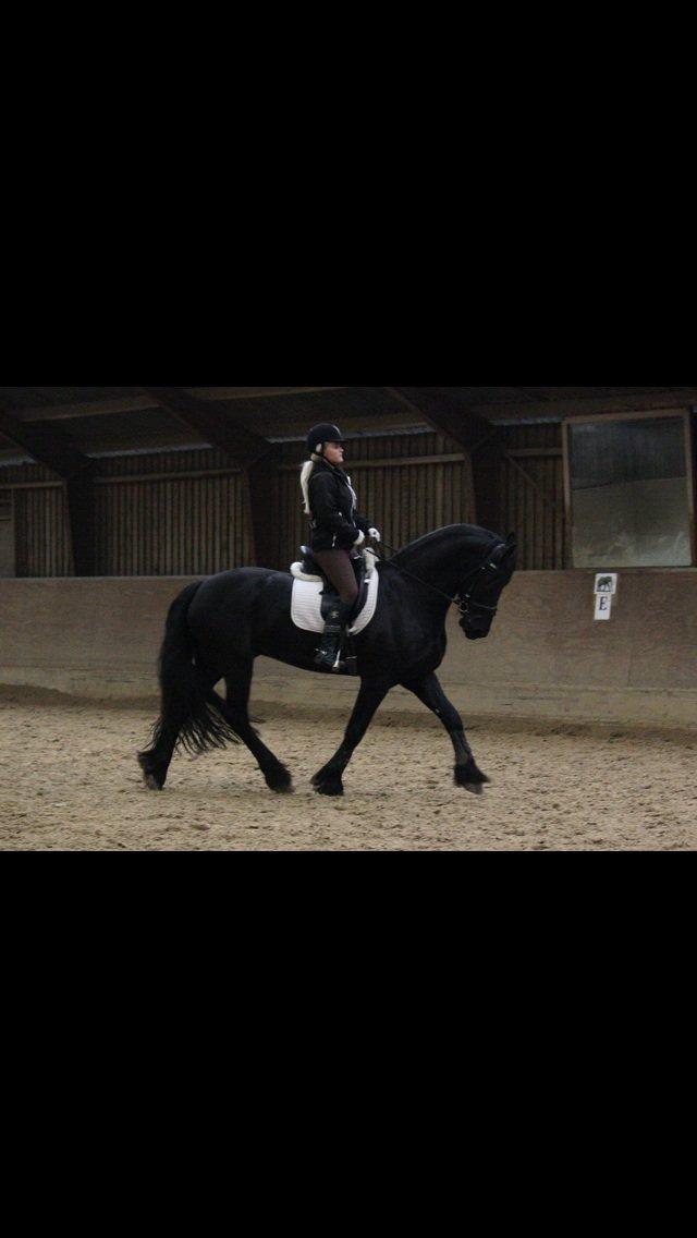 Kvinde Amalie billede 6