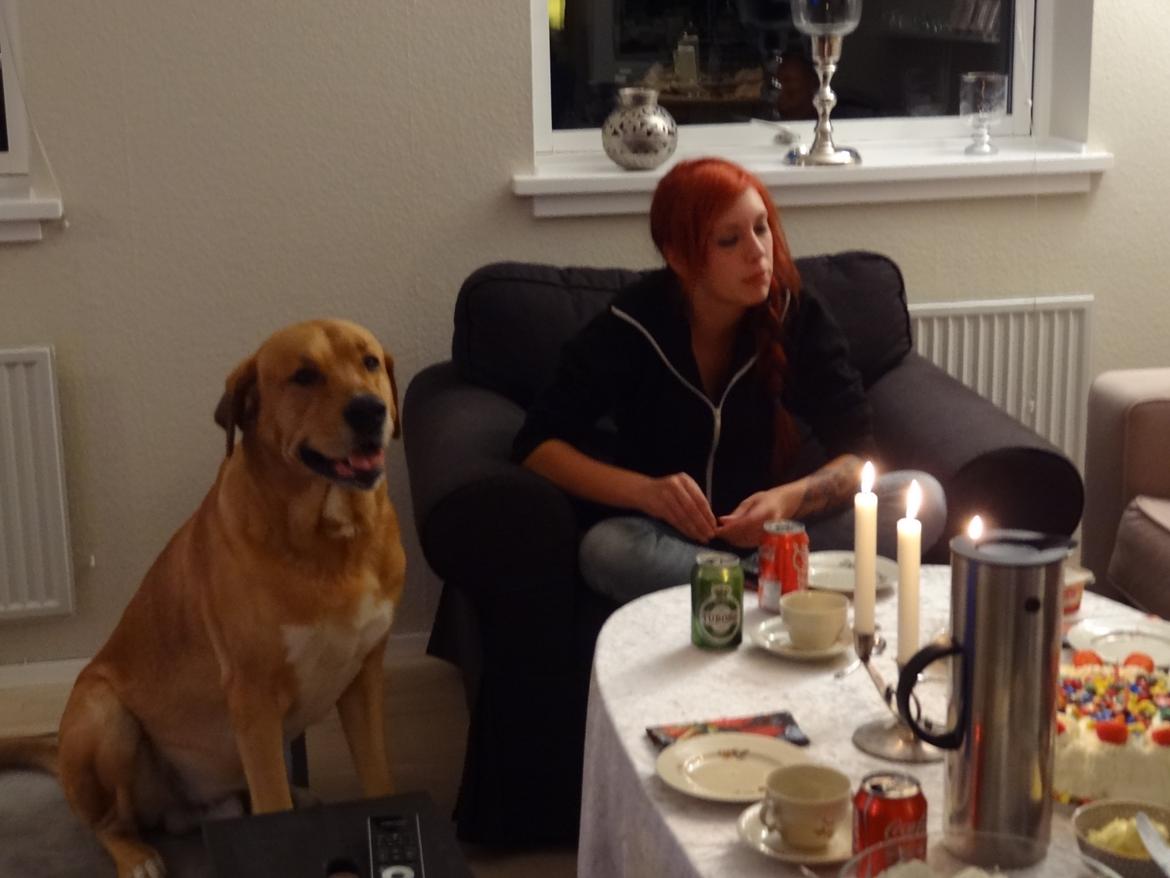 Kvinde Strygejernet billede 19