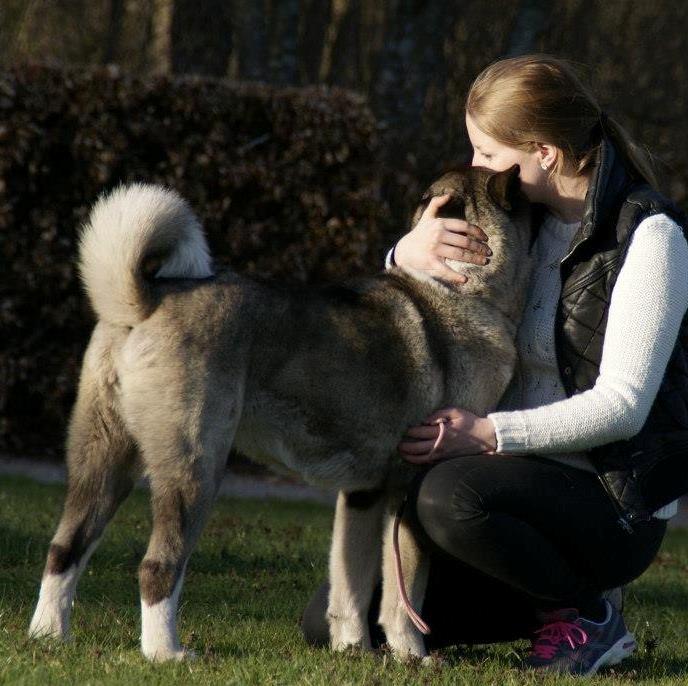 Kvinde Carina billede 4