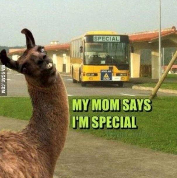 Kvinde Louise Lundberg billede 5