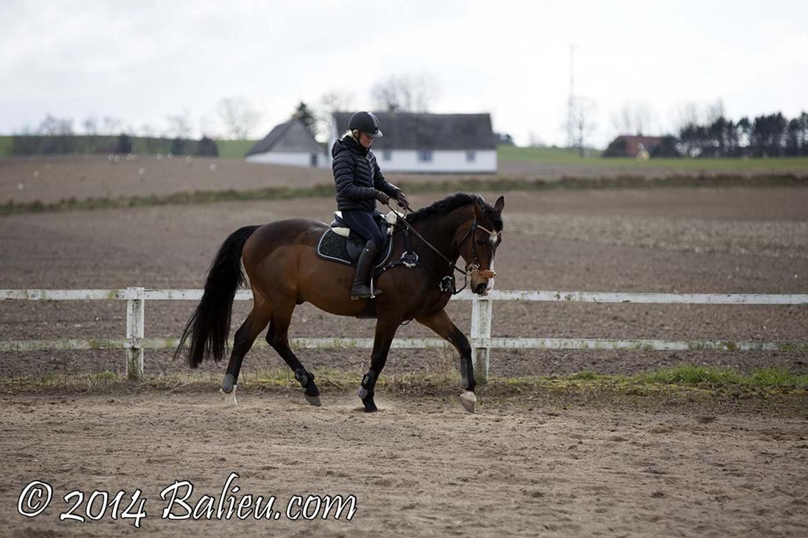 Kvinde Katrine Nielsen billede 14
