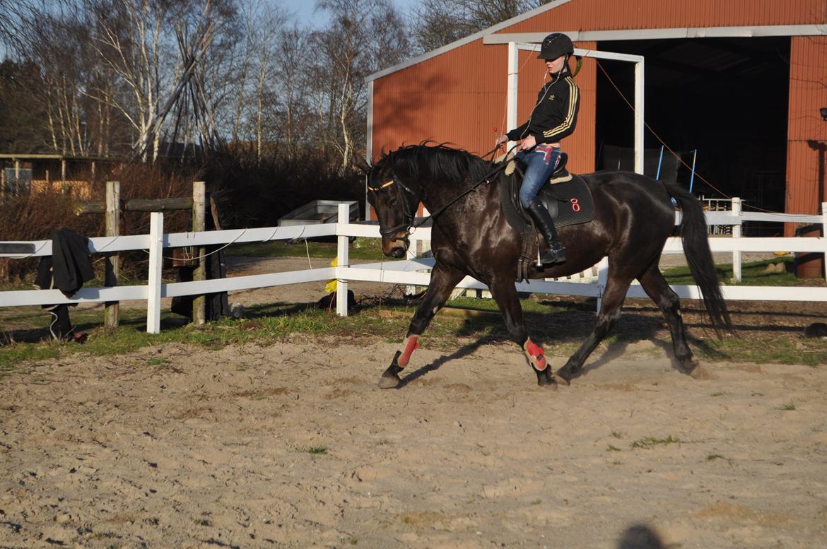 Kvinde Josephine :-) billede 18