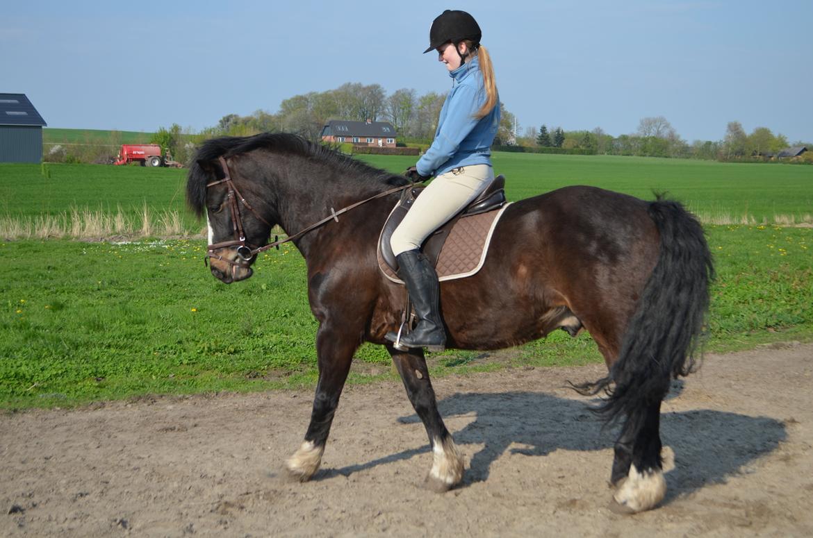 Kvinde Linda Tofthøj Jacobsen billede 14