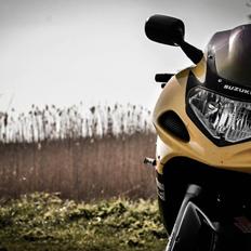 Mand Kenneth (themekanic)