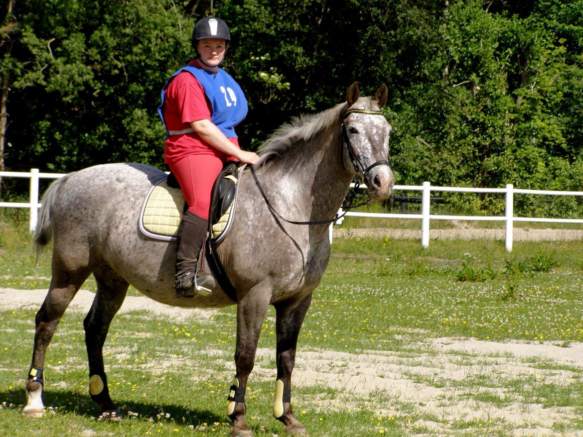 Kvinde Nina billede 8