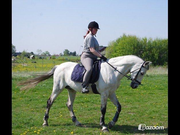 Kvinde vinnie  billede 14