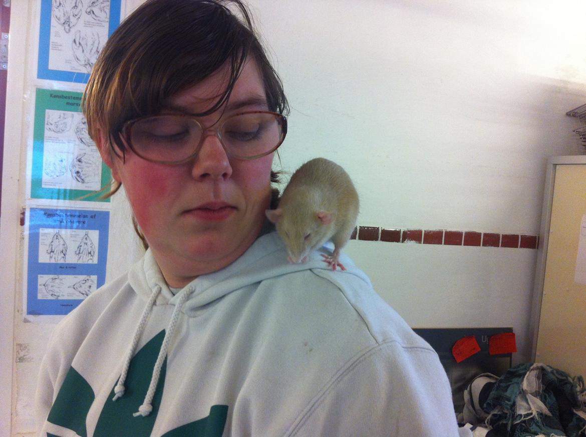 Kvinde vinnie  billede 15