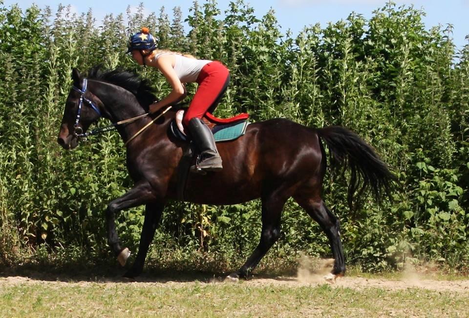 Kvinde Rikke billede 9