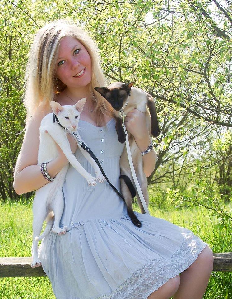 Kvinde Feline billede 18