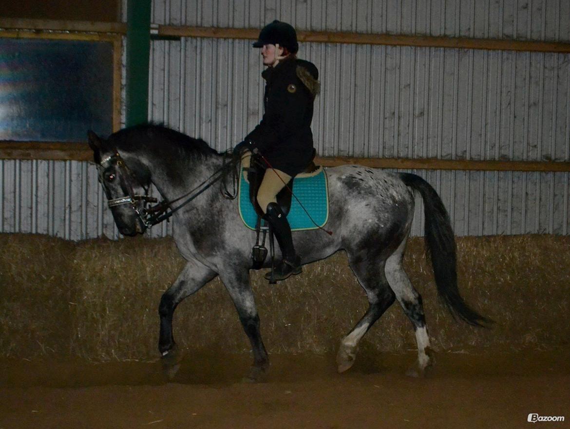 Kvinde Michelle billede 14