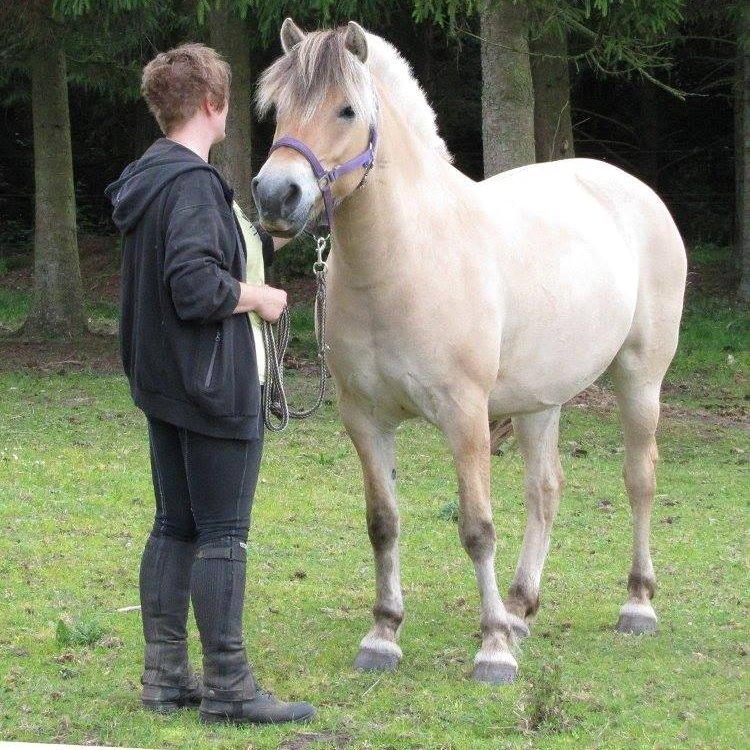 Kvinde Nina billede 14