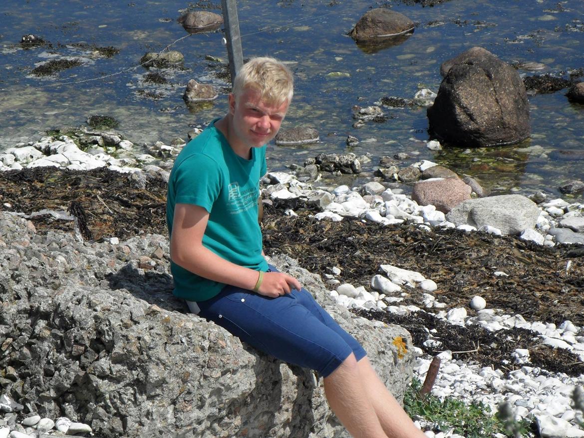 Mand niclas linnet billede 7