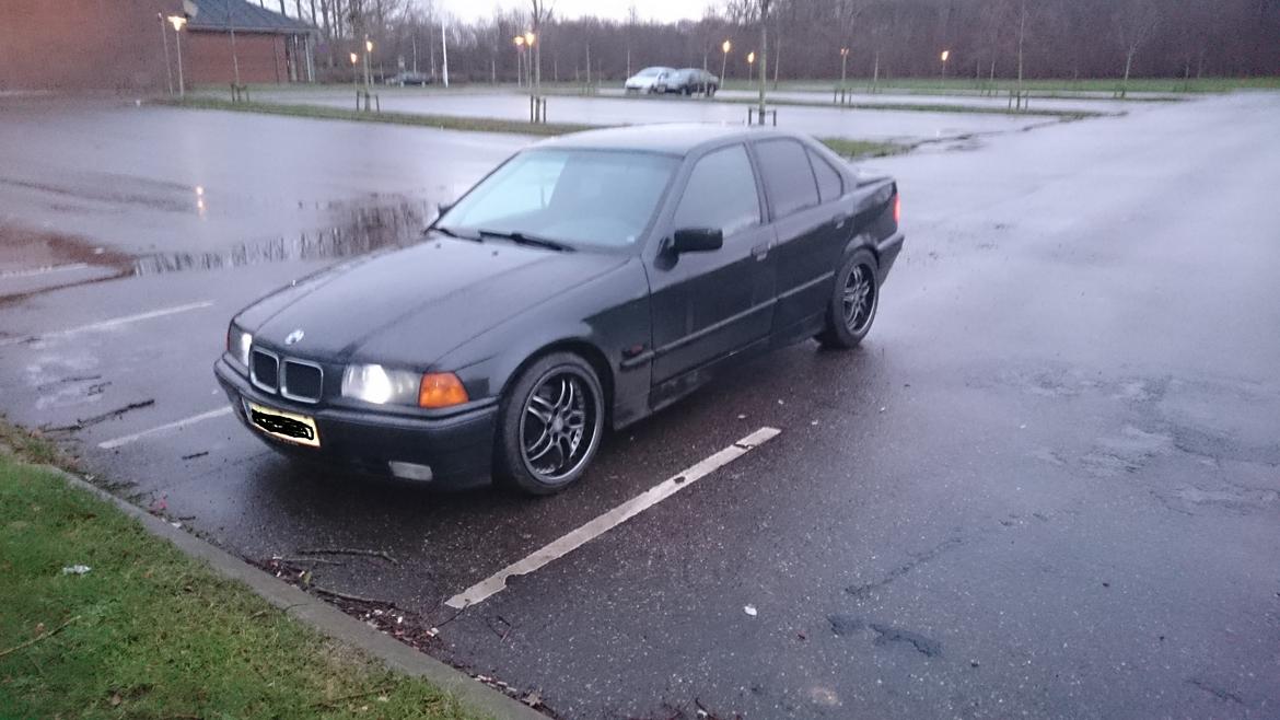 Mand Denis Wolf billede 3