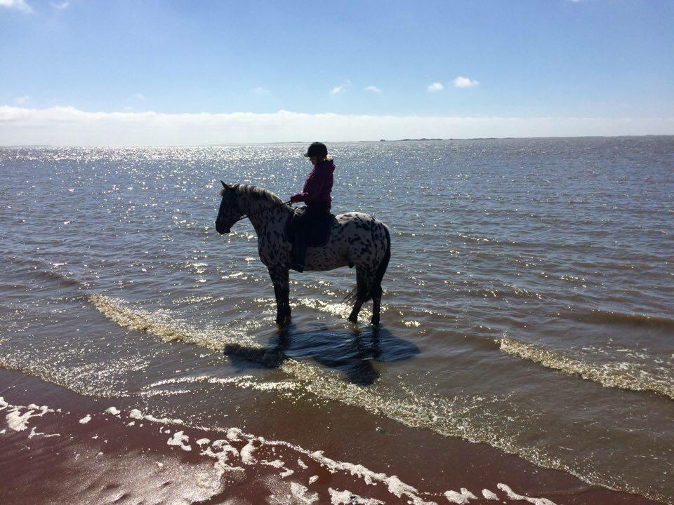 Kvinde Snow. billede 1