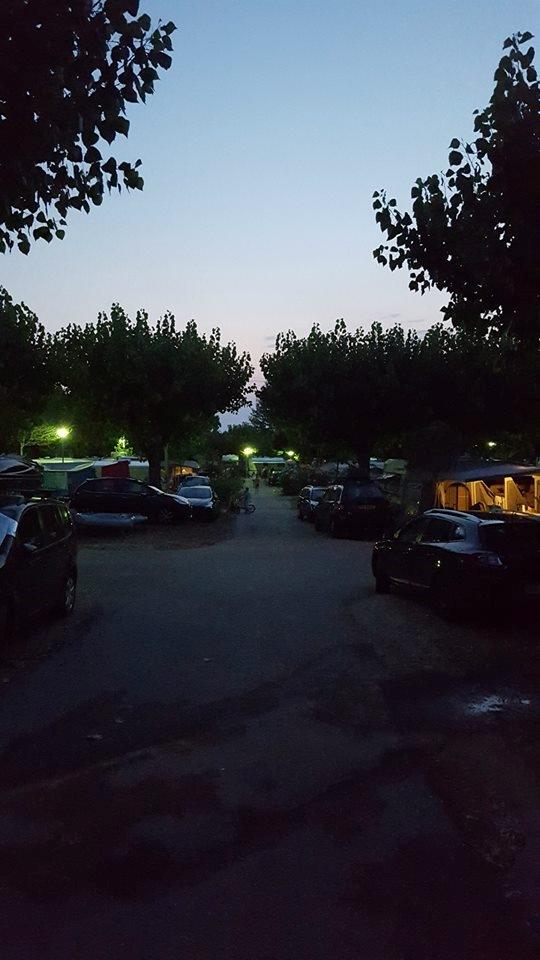 Mand Allan. A billede 25