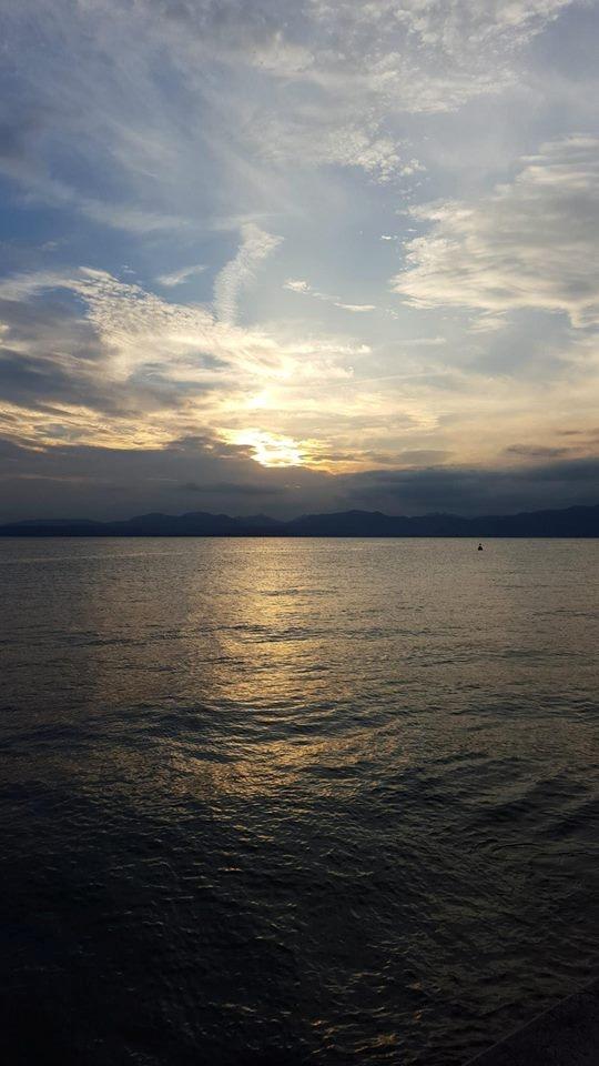 Mand Allan. A billede 26