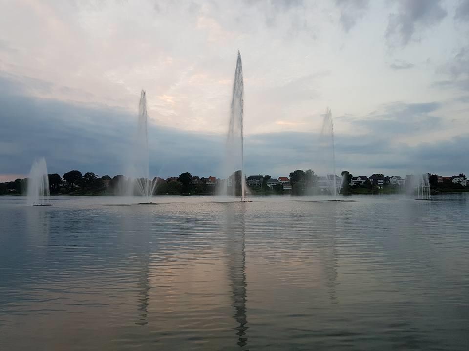 Mand Allan. A billede 30