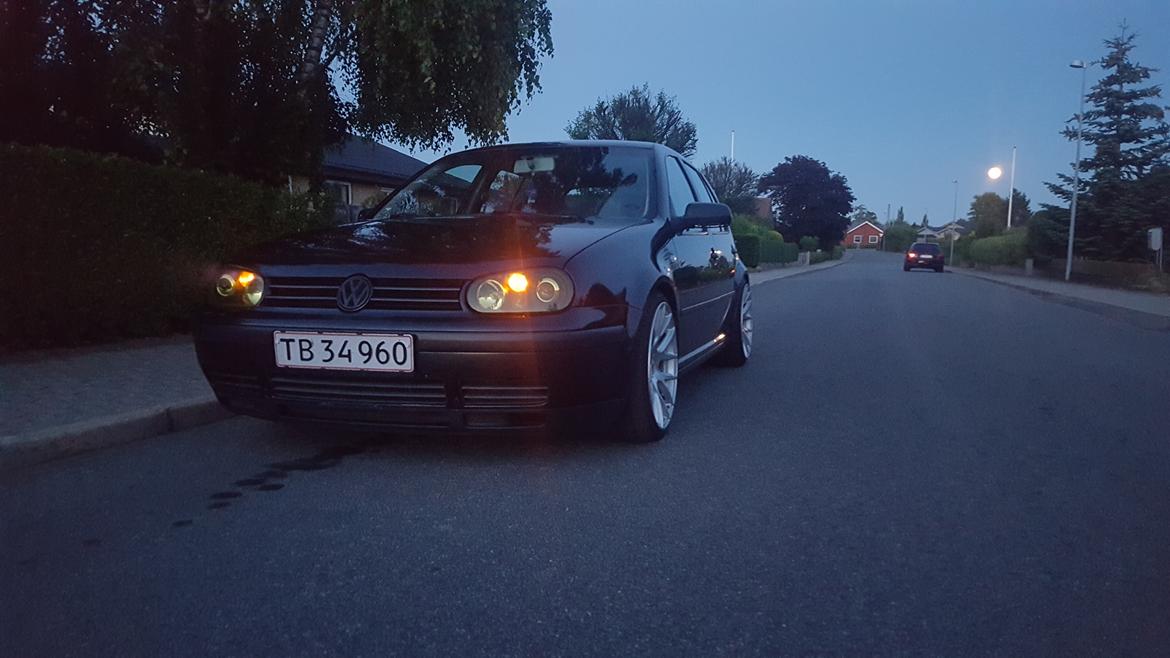 Mand Heine billede 7