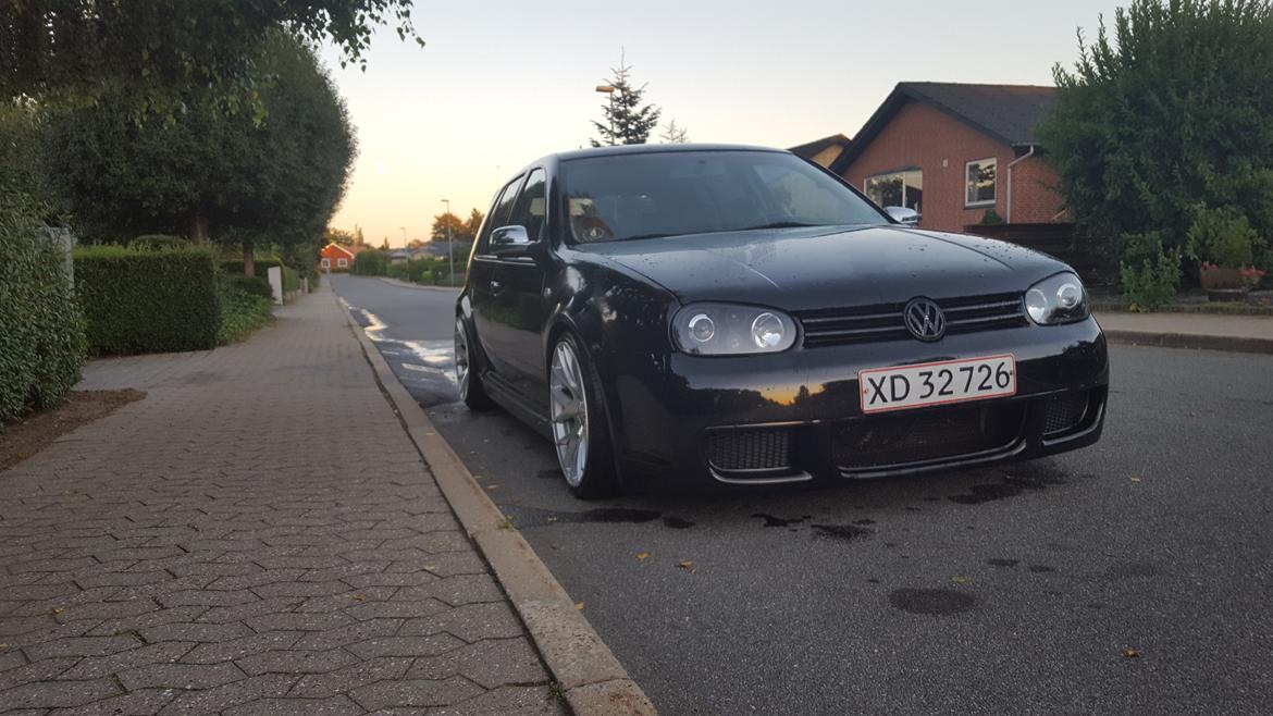 Mand Heine billede 8