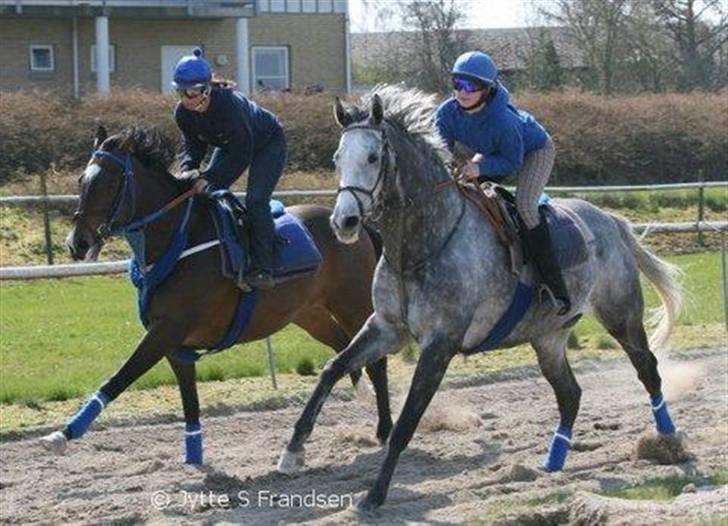 Kvinde Pernille - Fra lige da jeg begyndte på galopbanen billede 14