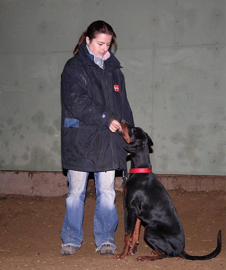 Kvinde **Kennel Proud Danish** - K 9 træning med Chica ;O) billede 7