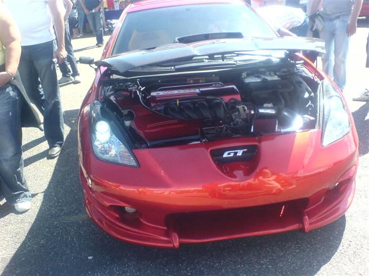 Kvinde line billede 5