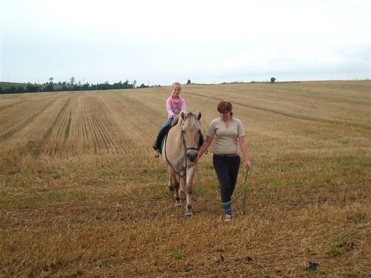 Kvinde Kristine - det er mig der går med min pony :) billede 2