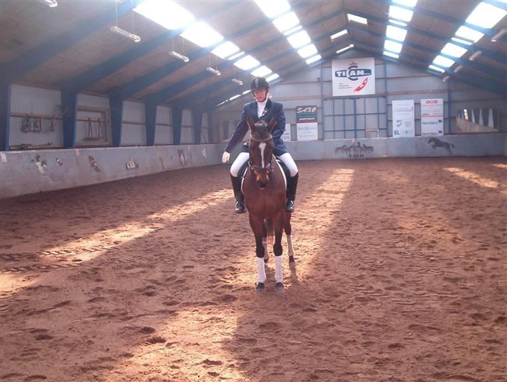 Kvinde Kristine - Det er mig på min hest billede 3