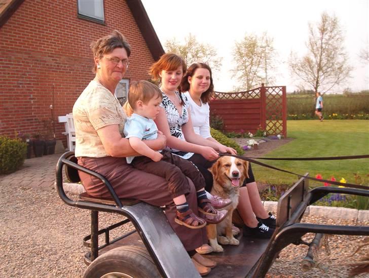 Kvinde Kristine billede 5