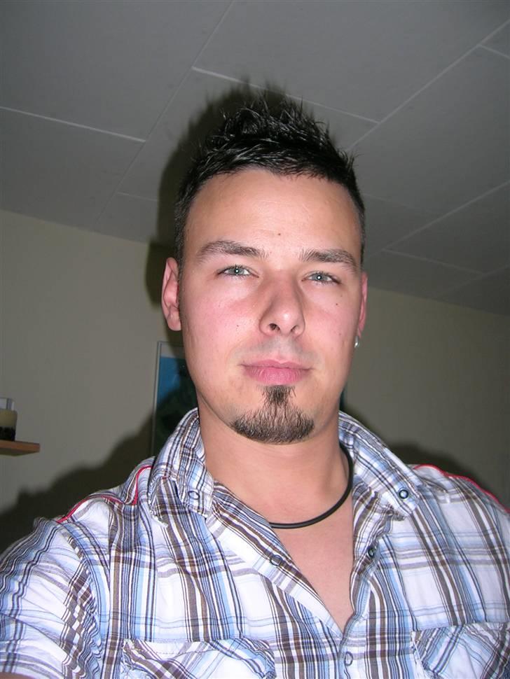 Mand LØVEN billede 7