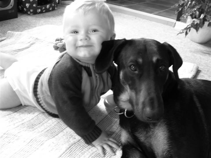 Kvinde Trine - Min søn og Molly... billede 3