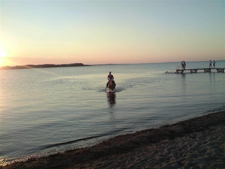 Kvinde Ann - Min snut og jeg, som bader i Hvalpsund. Det var bare det skønneste..... billede 10