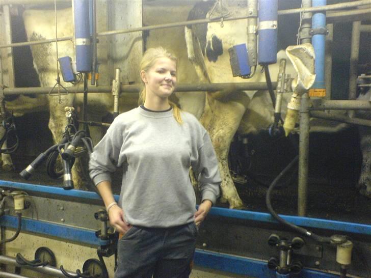 Kvinde Ann - Inden i mig er der gemt en rigtig "kopatte-hiver-trækker-slipper-assistent".... Jeg prøver at lade være... billede 13