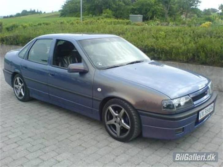 Mand Jesper billede 5