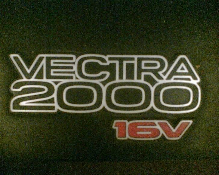 Mand Jesper billede 6