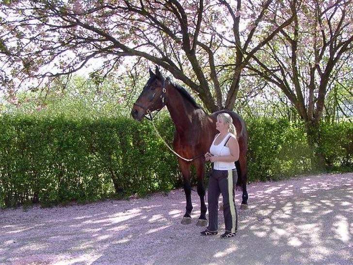 Kvinde Heidi billede 2