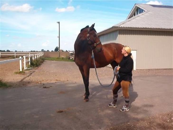 Kvinde Heidi billede 6