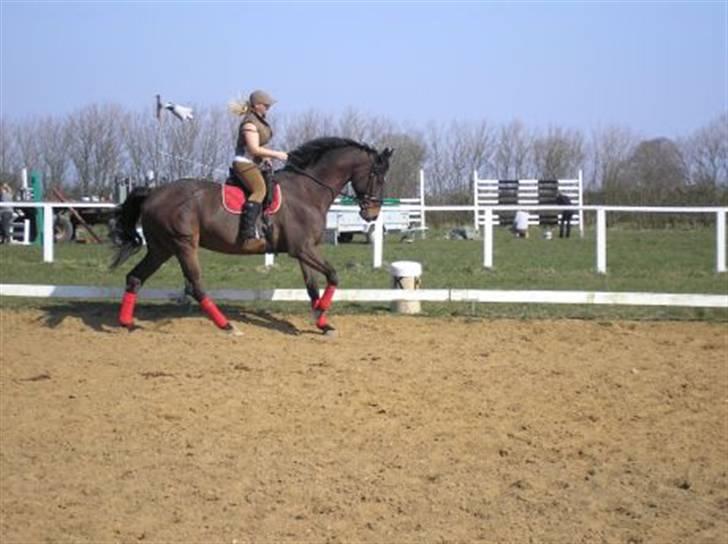 Kvinde Heidi billede 7