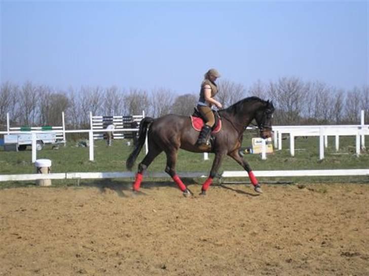 Kvinde Heidi billede 9