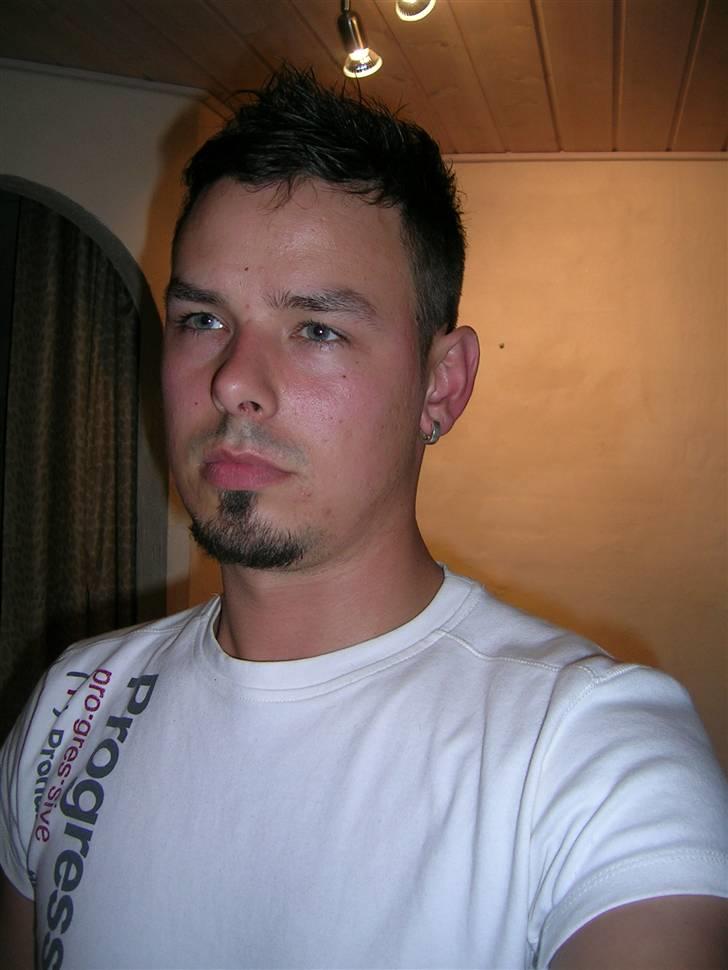 Mand LØVEN billede 8