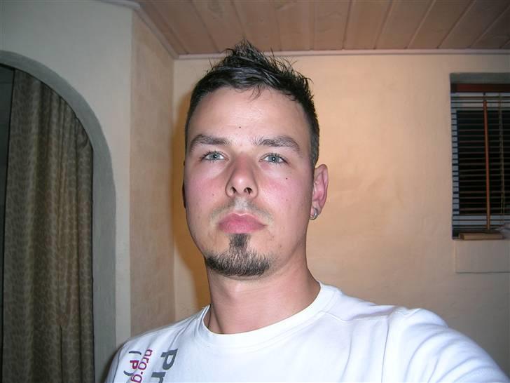 Mand LØVEN billede 9