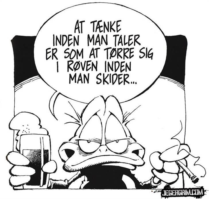 Mand LØVEN billede 10