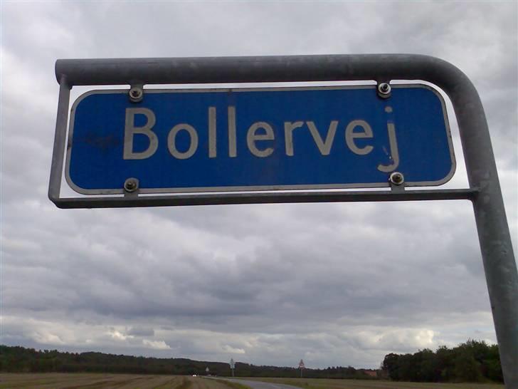 Mand LØVEN - danmark`s frækkeste vej hehe billede 12