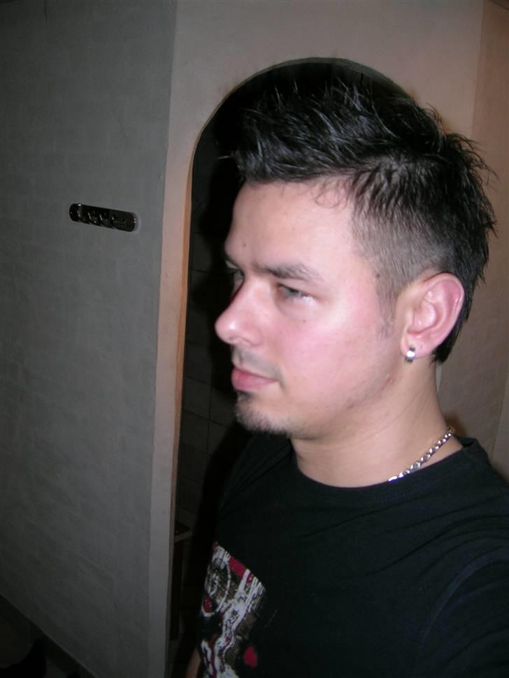 Mand LØVEN billede 15